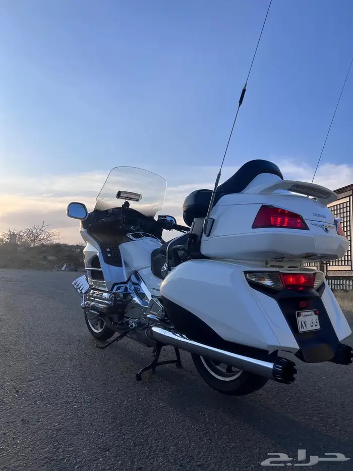 قولد وينق 2012 4