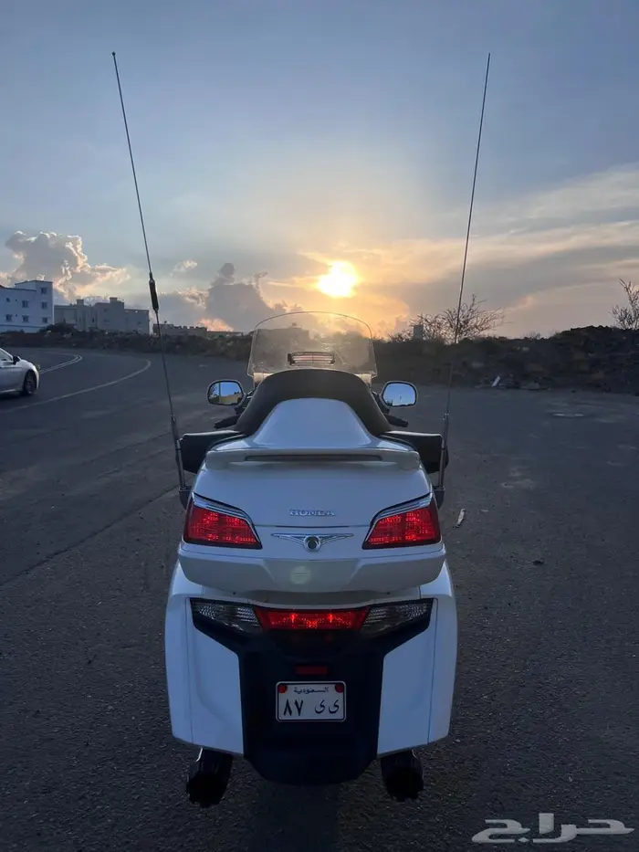 قولد وينق 2012 5