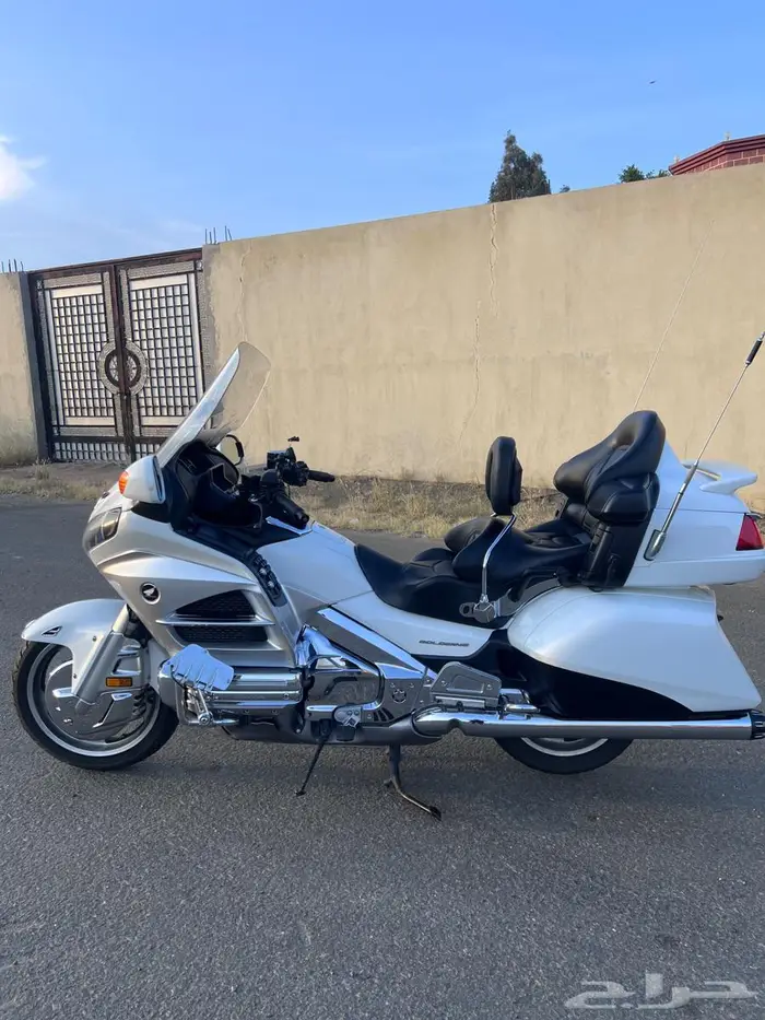 قولد وينق 2012 3