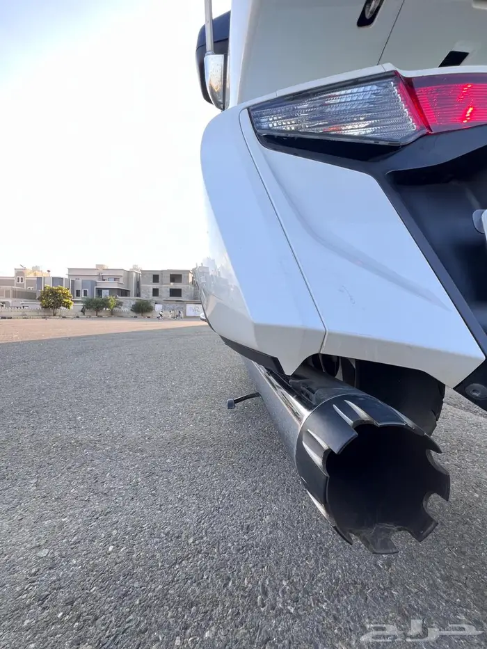 قولد وينق 2012 6