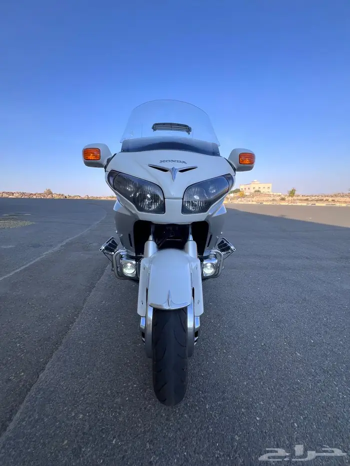 قولد وينق 2012 7