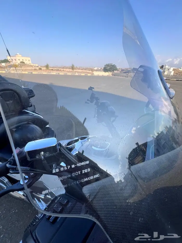 قولد وينق 2012 20