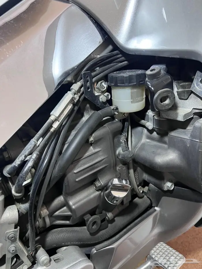 قولد وينق 2012 21