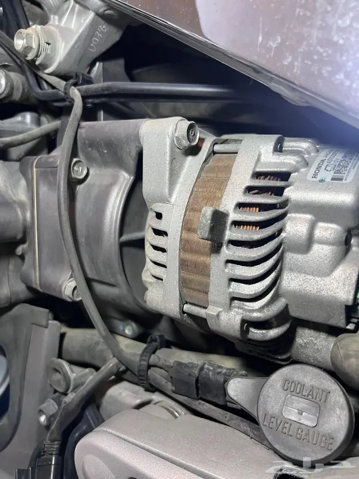 قولد وينق 2012 22