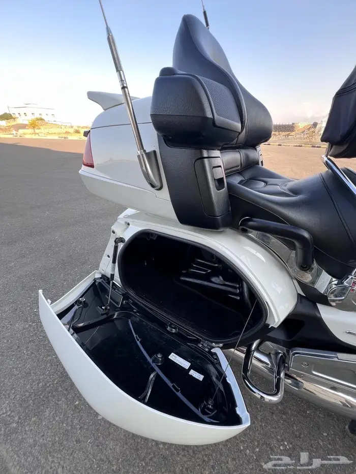 قولد وينق 2012 17