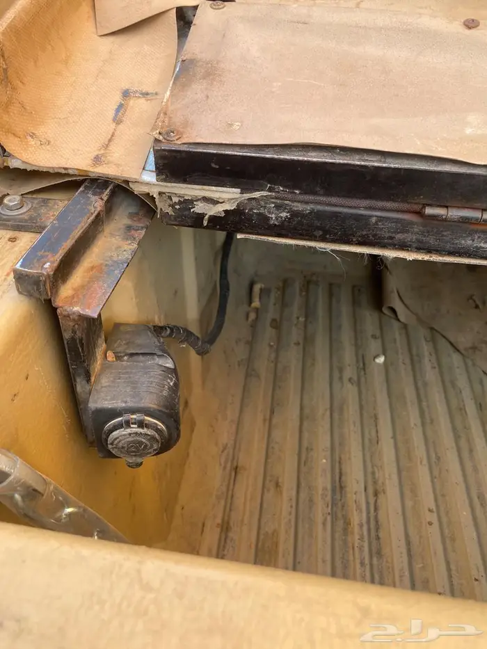 طبق شاص طيور الحبارى للبيع عل السوم 5