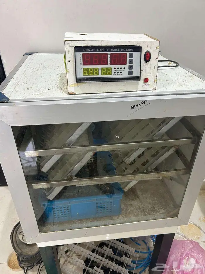 فقاسة اوربي للبيع ( مستعمل ) 0