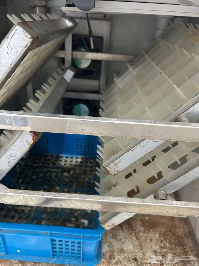 فقاسة اوربي للبيع ( مستعمل ) 1