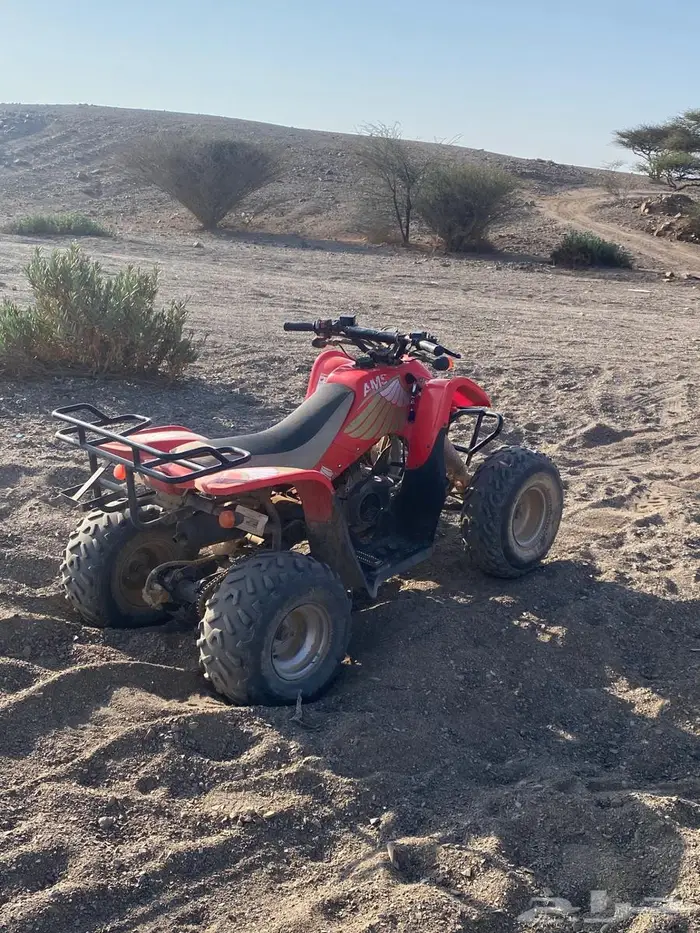 دباب للبيع 5