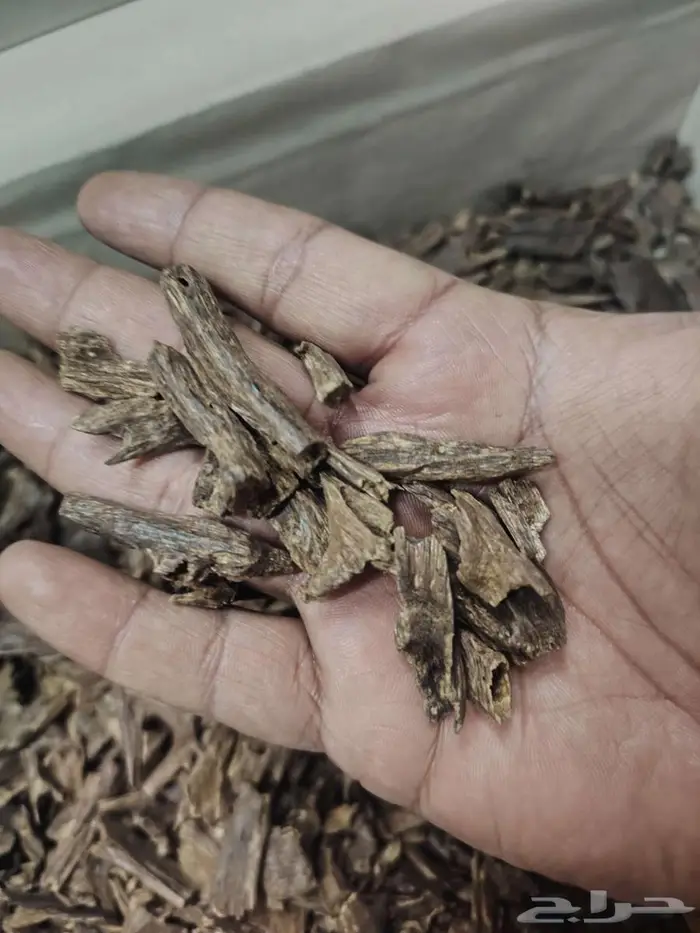 عود هندي موري فاخر 5