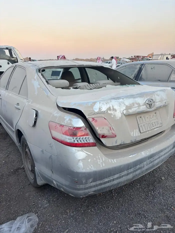 كامريات مبيعات حكومي 1