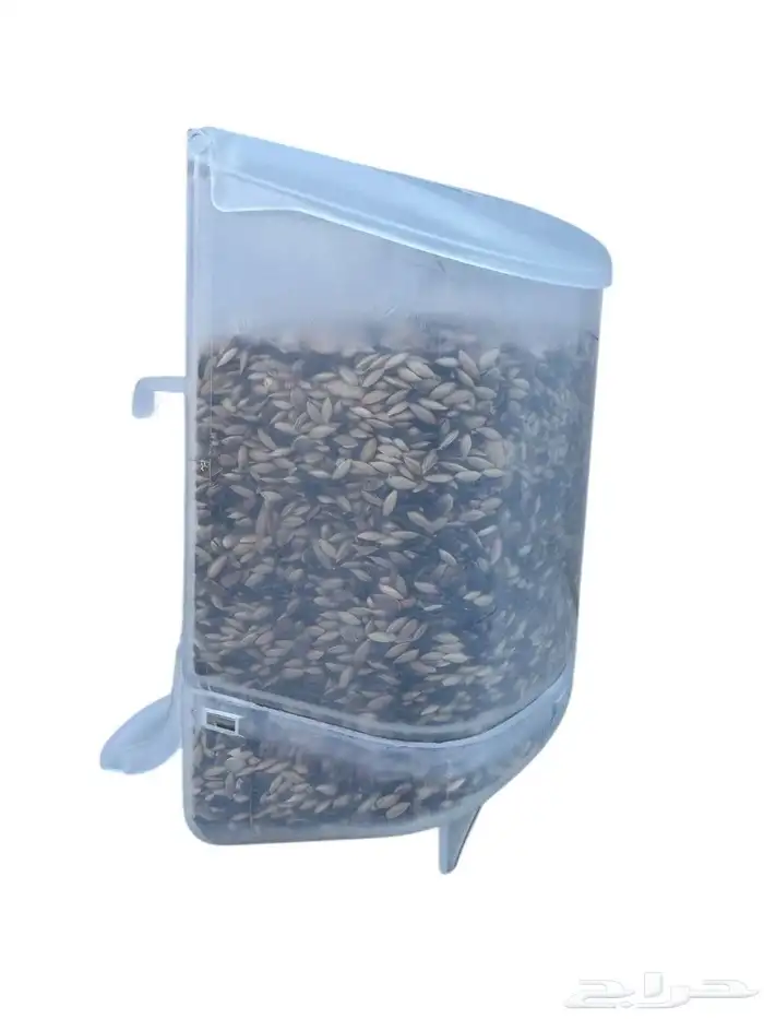 مأكلية معالف اقتصادية للبذور اخر عشر حبات لل كناري روز بادجي 4