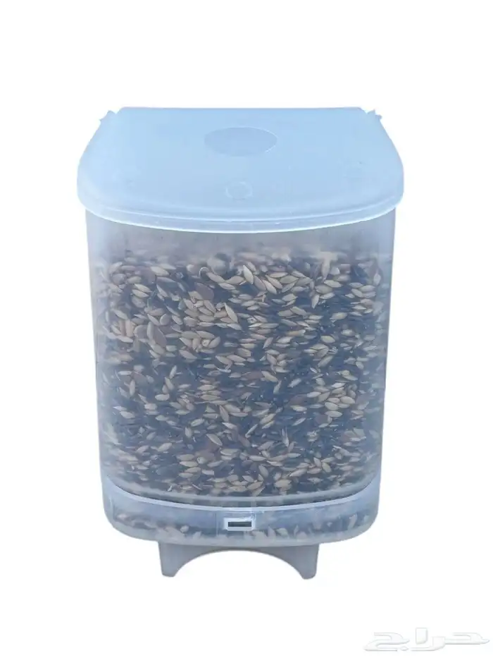 مأكلية معالف اقتصادية للبذور اخر عشر حبات لل كناري روز بادجي 2