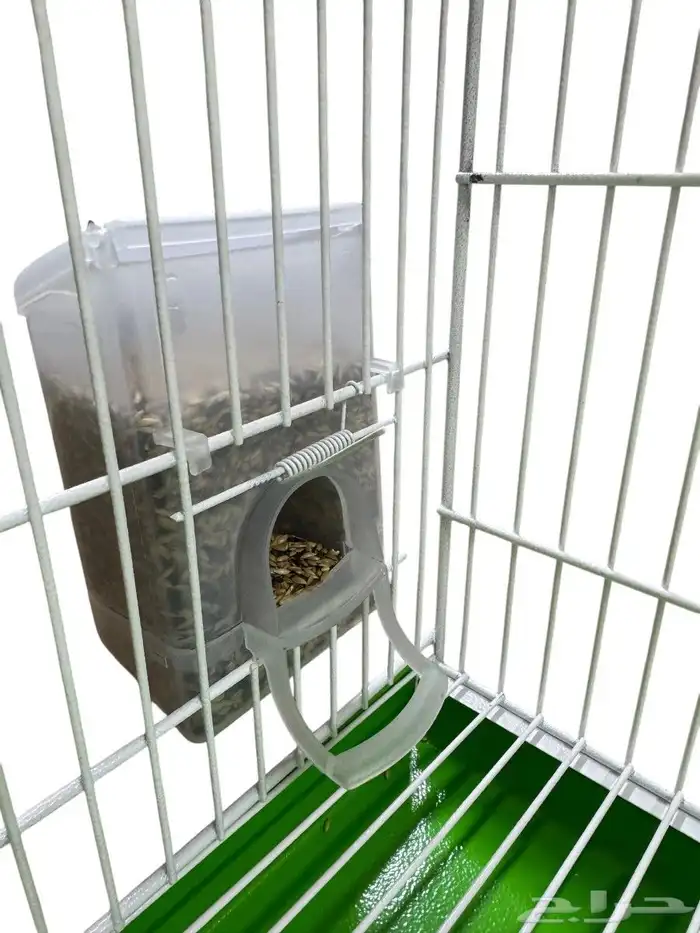 مأكلية معالف اقتصادية للبذور اخر عشر حبات لل كناري روز بادجي 0