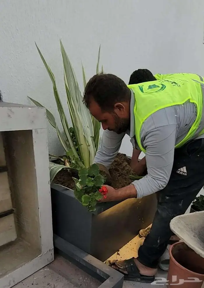 احواض زرع ومراكن جملة فايبر كبيرة تفصيل الدمام 1