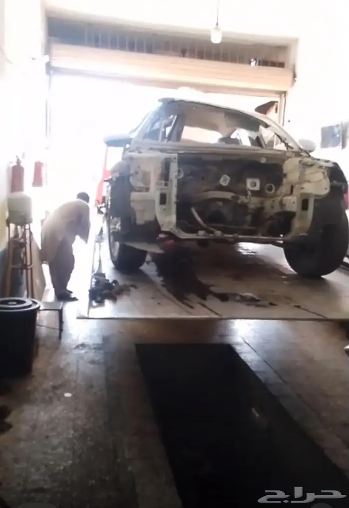 كدنزا 16 للبيع اوراقها جاهزه 0