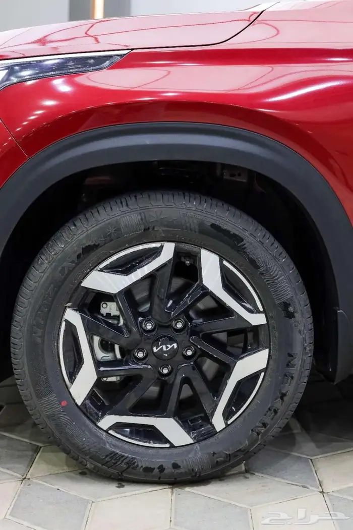 سيلتوس نص فل 2025 6