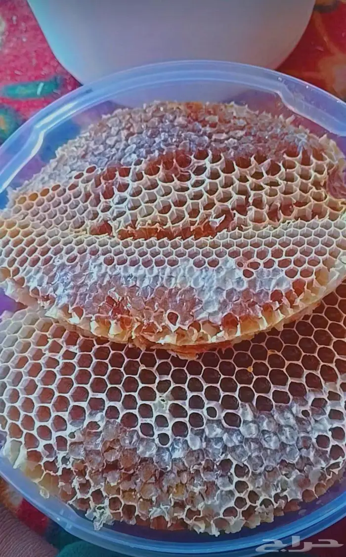 عسل سدر وطلح وسمره 1