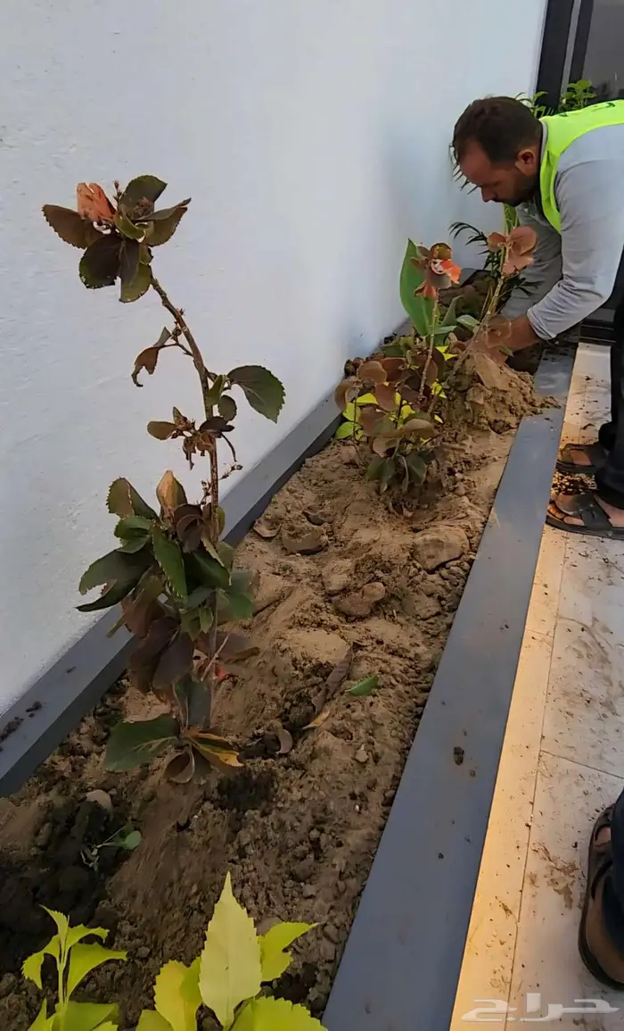 احواض زرع ومراكن جملة فايبر كبيرة تفصيل الدمام 2