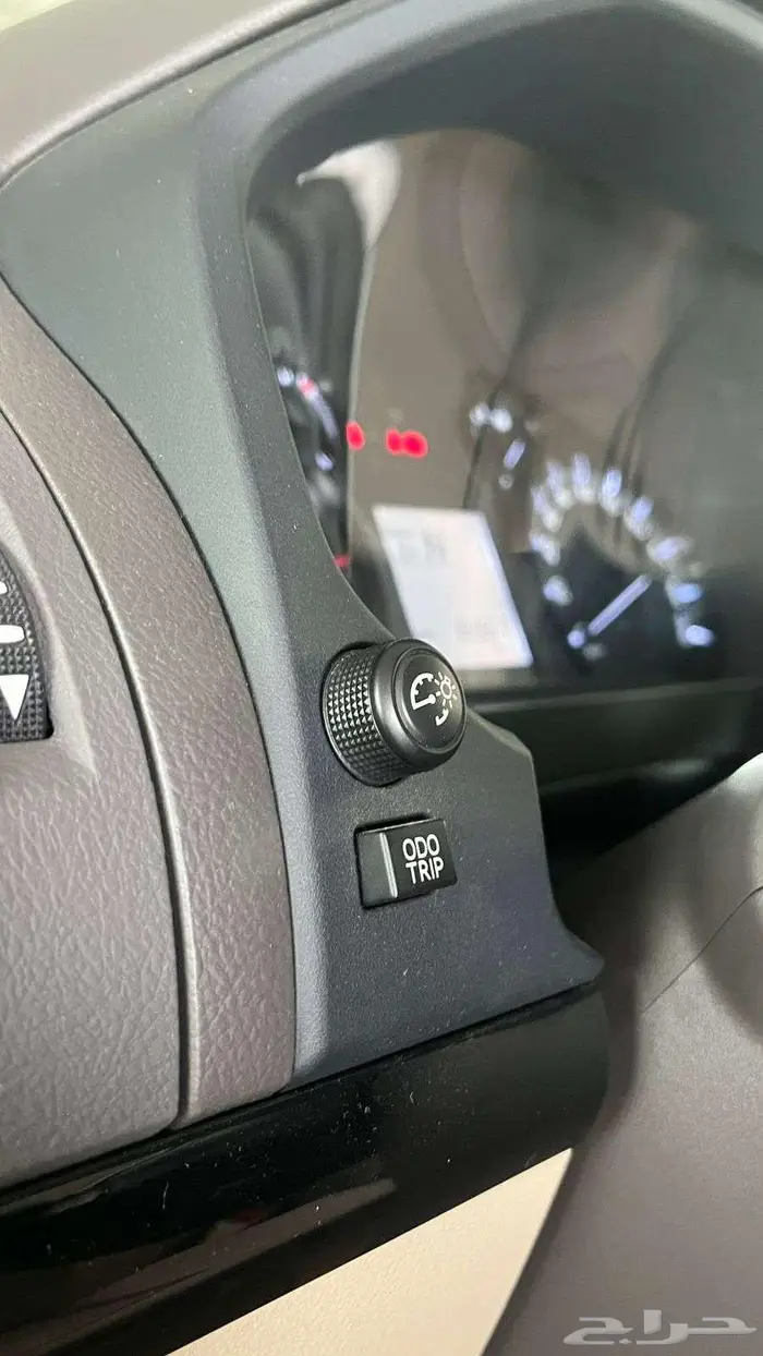 برادو TXL 2022 17