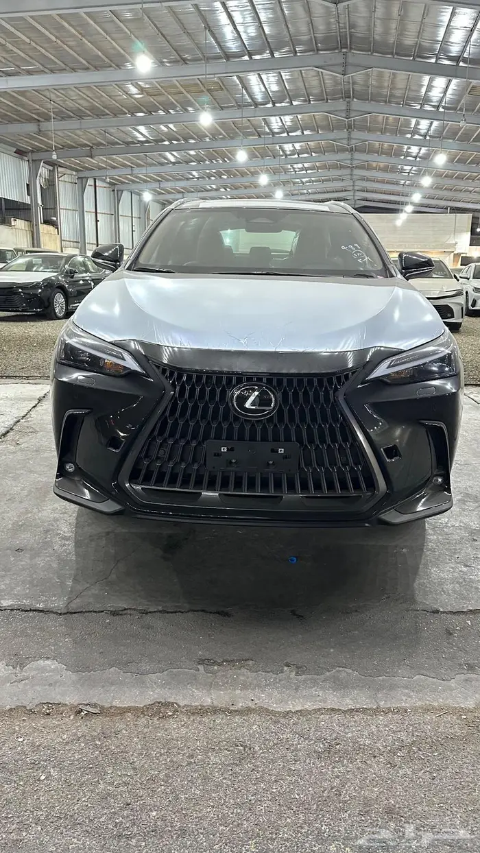 لكزس NX350 فئة AA خليجي 2025 6