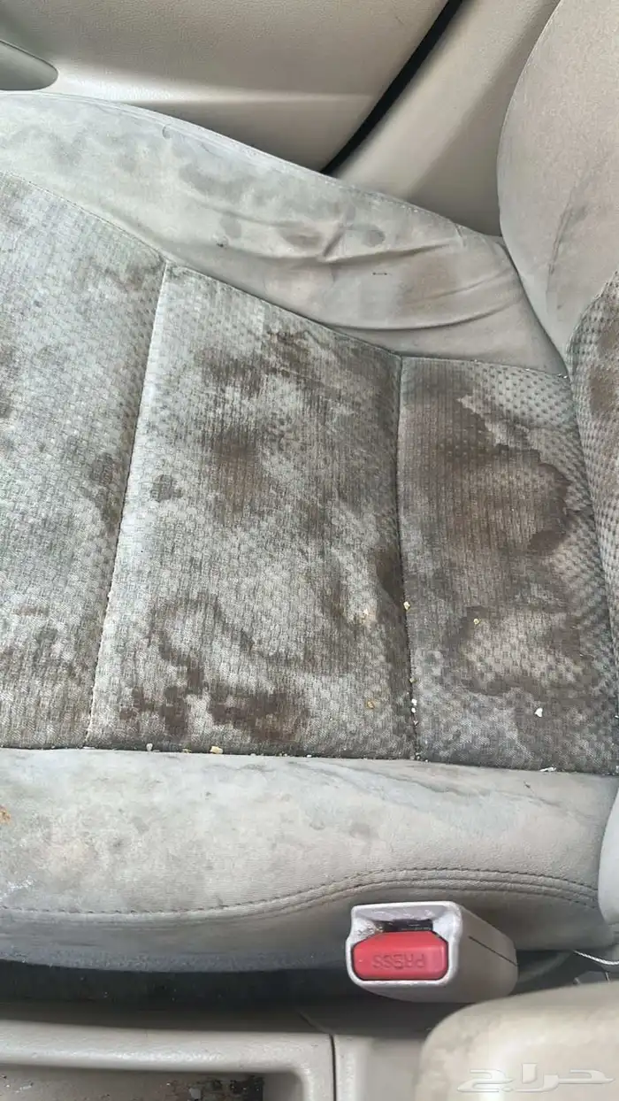 عروض هذا الأسبوع لي ناس المدينة المنورة غسيل بي البخار 7