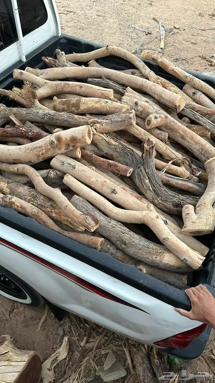 بقلاوه شرط طيب لتواصل 1