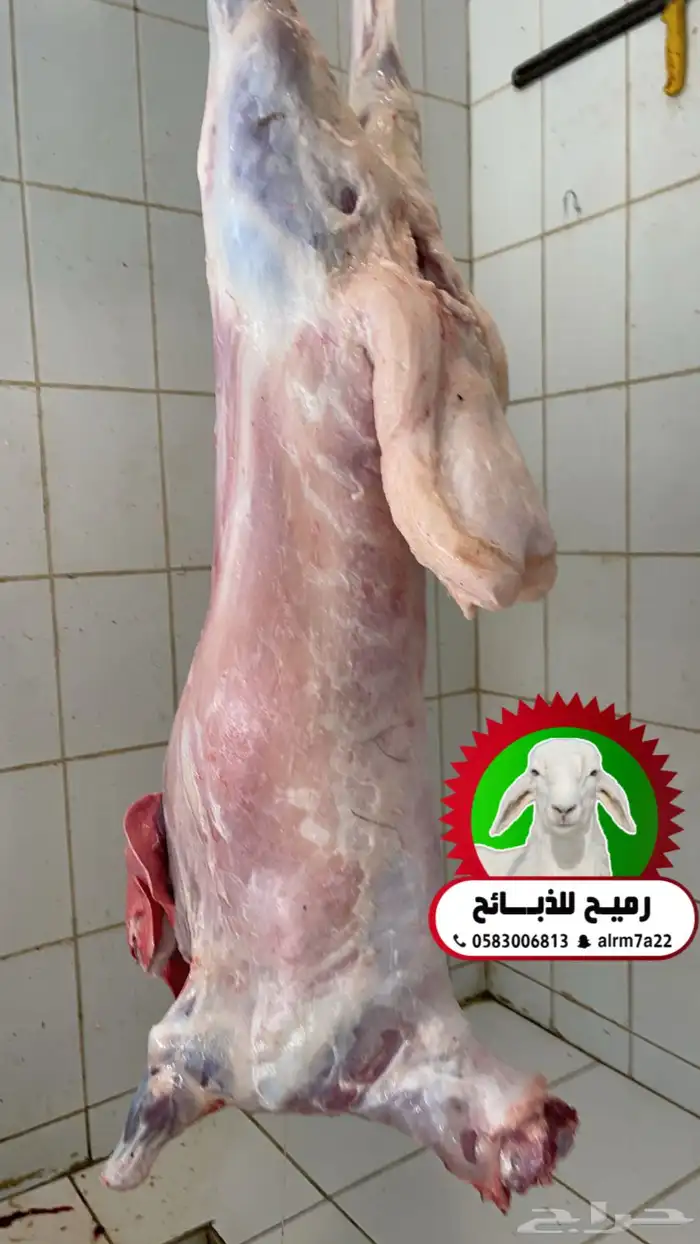رميح للذبايح.. نحرص على اجود انواع الذبايح 1