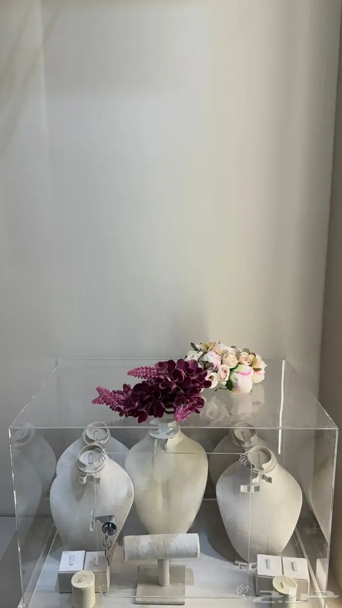 باقه وبوكسات دبش عرايس للبيع 2