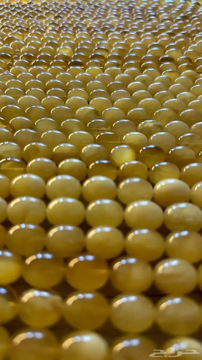 اليوم مزاد كهرمان سبح 2