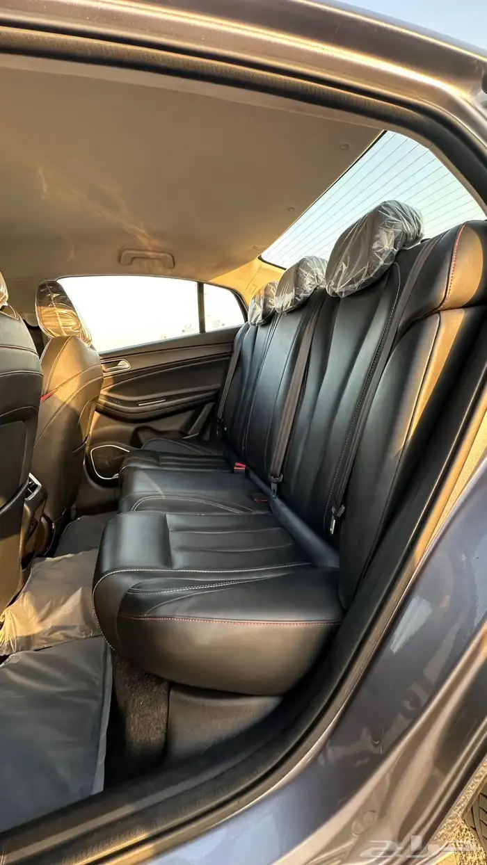 شيري اريزو 6 13