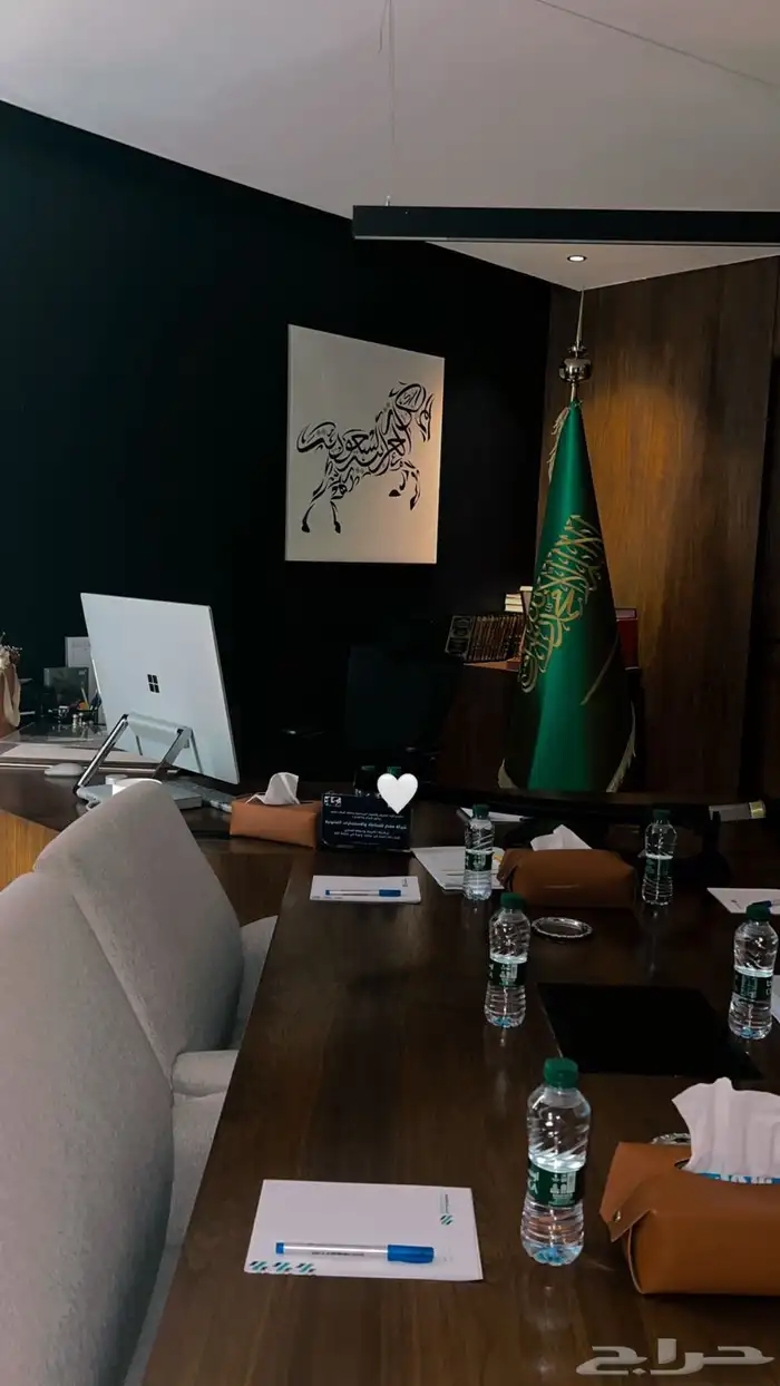 علم السعودية طباعة شعارات ريشة إعلانية طقم صور رول أب حاجز 6