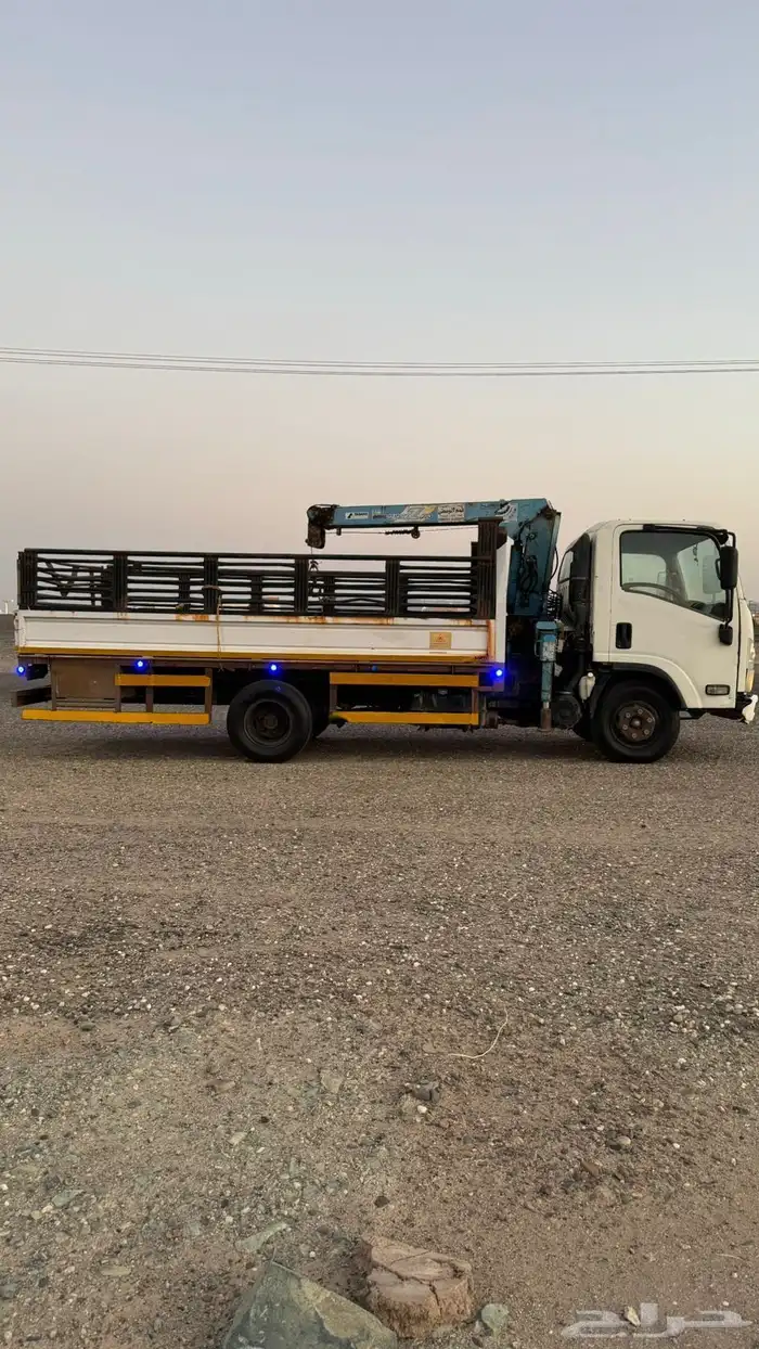 دينا اسيزو 2014 1