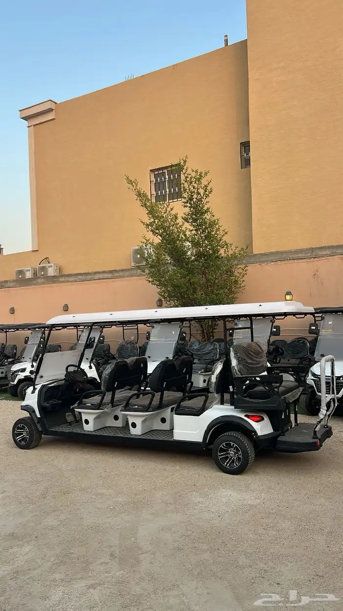 عربات القولف عربة غولف الكهربائية 8
