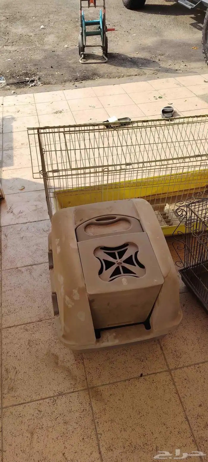 اقفاض طيور للبيع المستعجل خلال اليوم 1