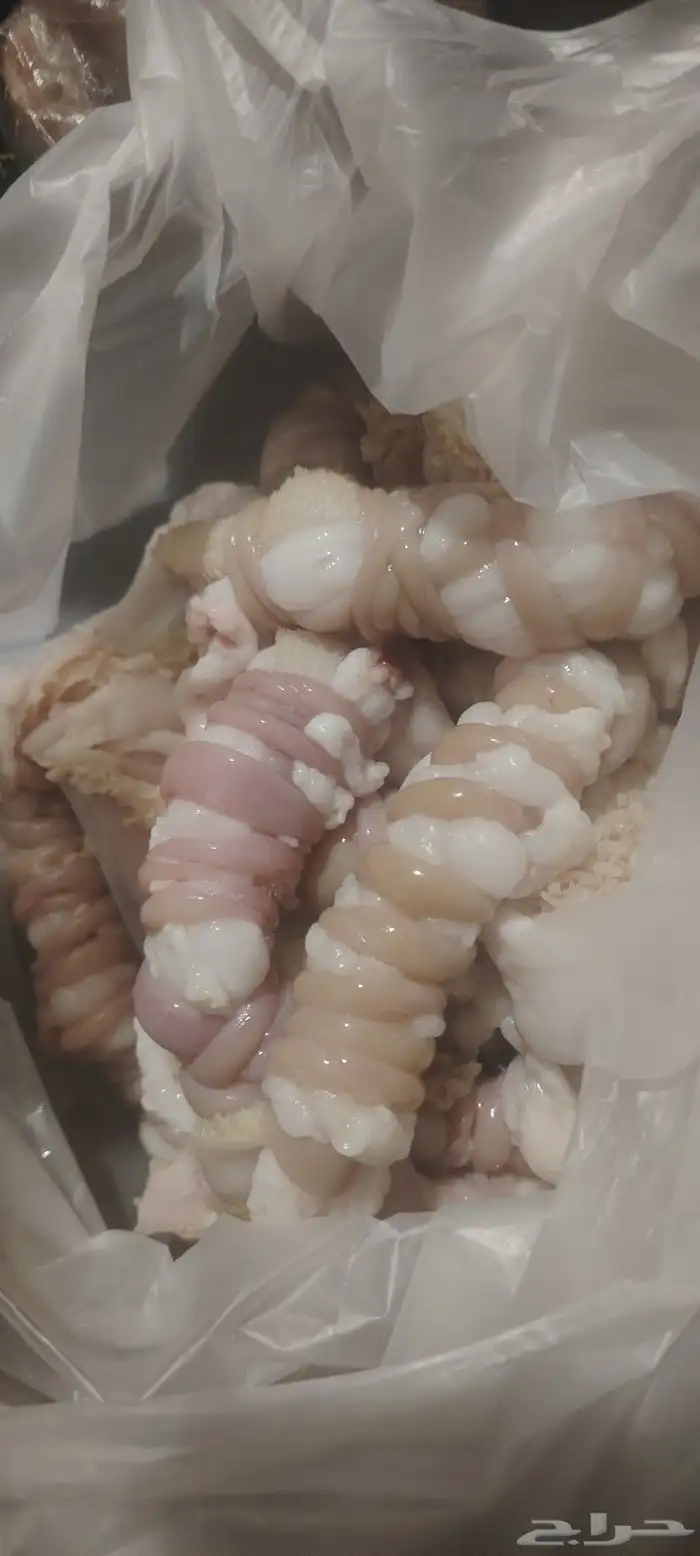 كرشه مصران معاصيب للبيع الكيلو بي 15 ريال بس 1