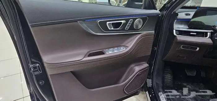 شيري _( تيجو _ 8 _ برو ماكس _ لاكجري _ 7 ركاب) _ 2025 8