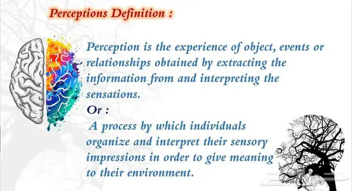 اعداد البرزنيشن و المشاريع البحثية 6