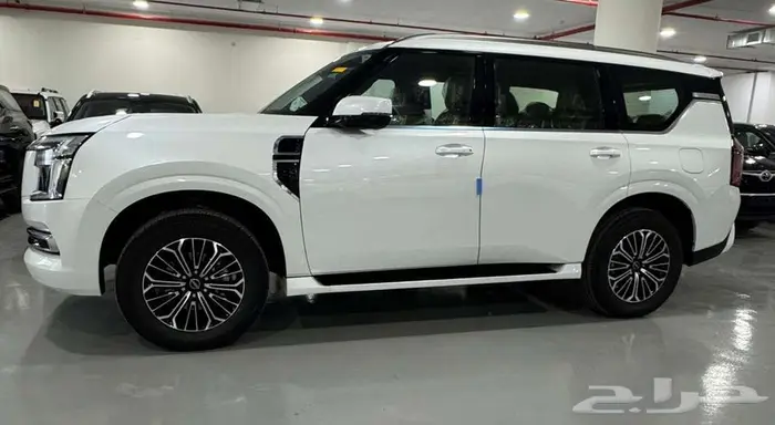 نيسان باترول بلاتنيوم تنفس طبيعى2025 كاش وتقيسط 1