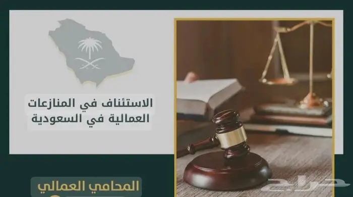 محامي ومستشار قانوني 15