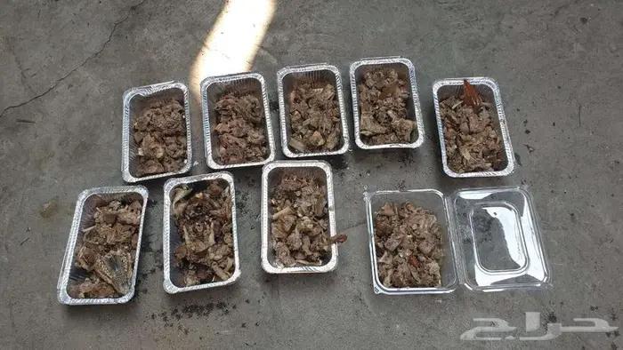 ذبائح حنيذ مندي عربي سليق كوزي مديني كابلي بخاري 11