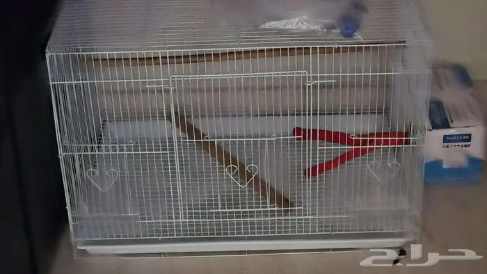 زوج كنيور اليف هدد 3