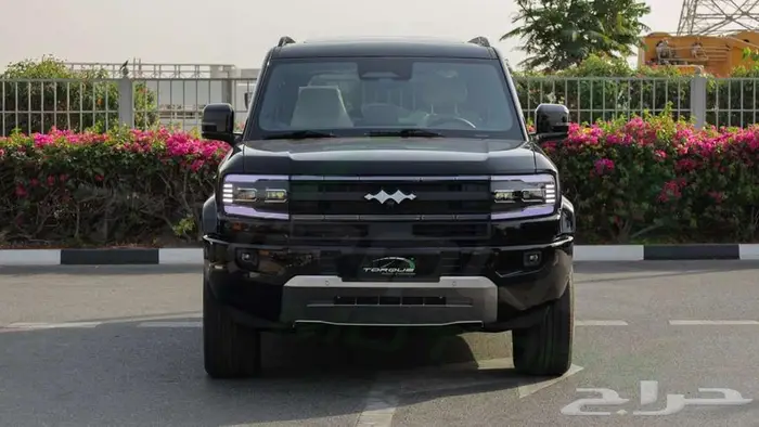 2025 بي واي دي ليوبارد 8 هايبرد اصفار مع ضمان 2