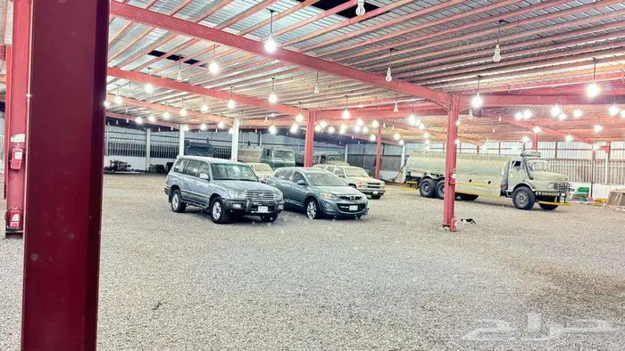 معارض سيارات للاستثمار 1