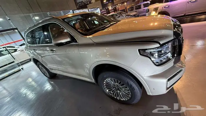 جريت وول تانك 500 دارك ديشن 2026 13