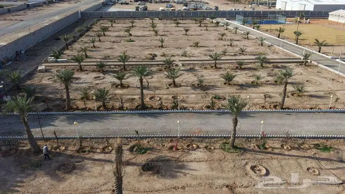 مزرعة للبيع في دقلة شمال الرياض 48