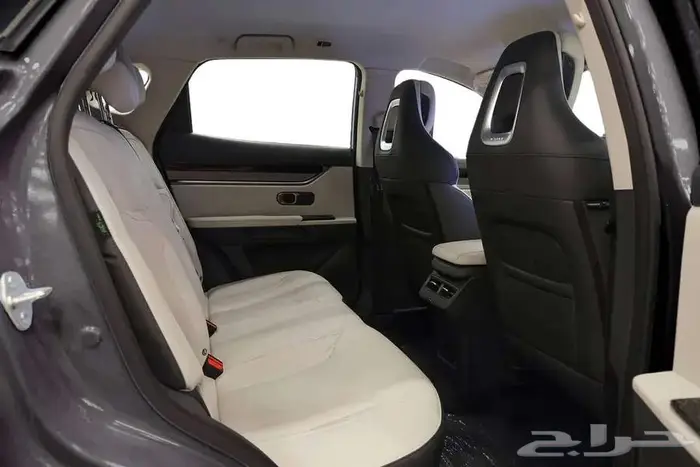 جيتور داشينج 2024 4