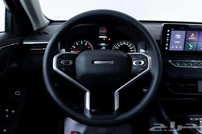 هافال جوليان بيسك 2026 ادء قوي وشكل مميز 4