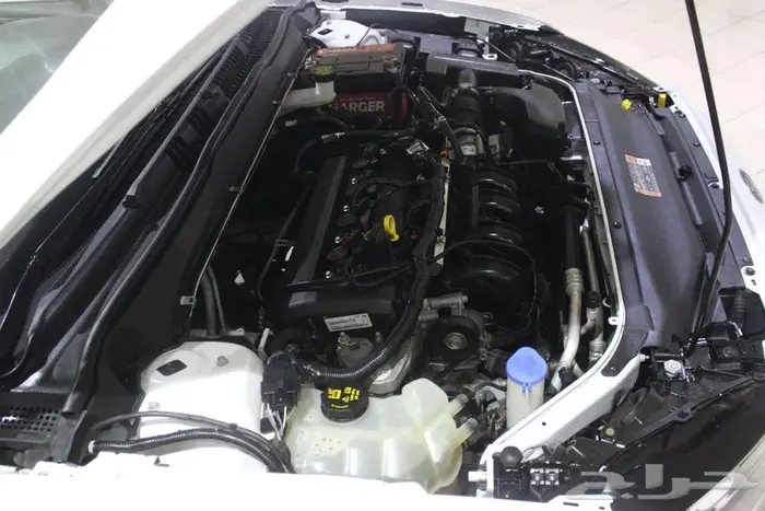 فيوجن 2020 ابيض بطاقة جمركية امريكي 20