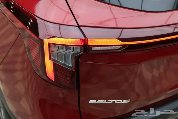 سيلتوس نص فل 2025 4